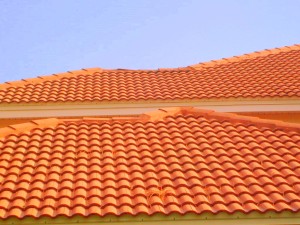Clermont FLorida Tile Roof Cleaning