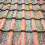 Protect Your Roof and Home Part 2