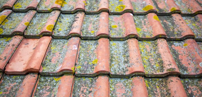 Protect Your Roof and Home Part 2