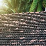 Summer in Clermont: How Soft Washing Protects Against Sun, Humidity & Algae