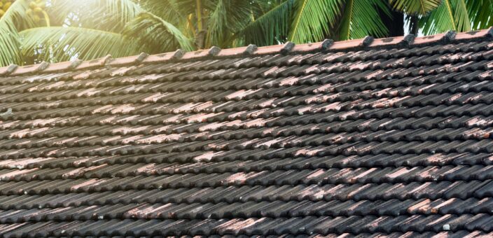 Summer in Clermont: How Soft Washing Protects Against Sun, Humidity & Algae